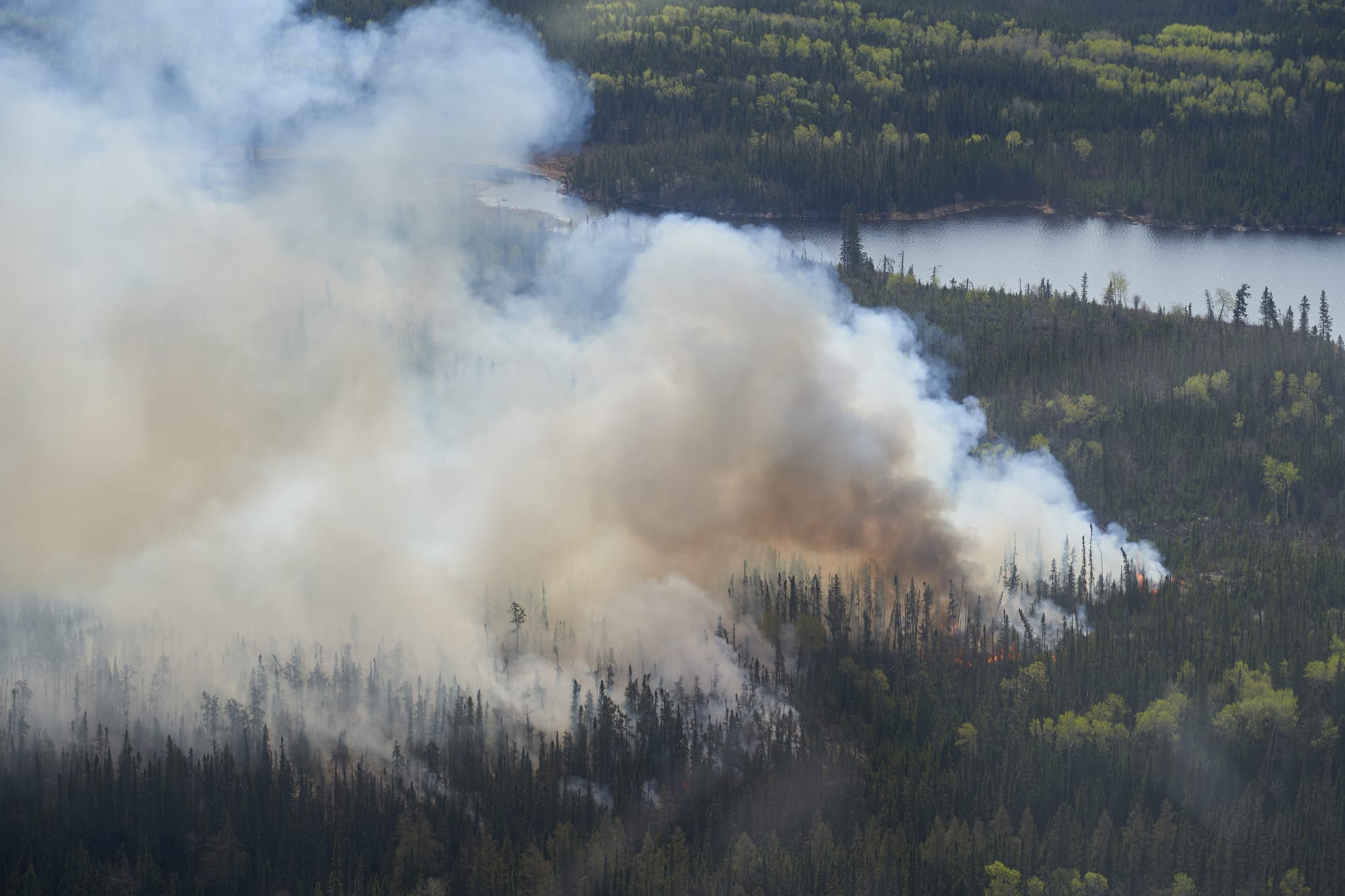 Smoke from a wildfire rises into the air above a forest.