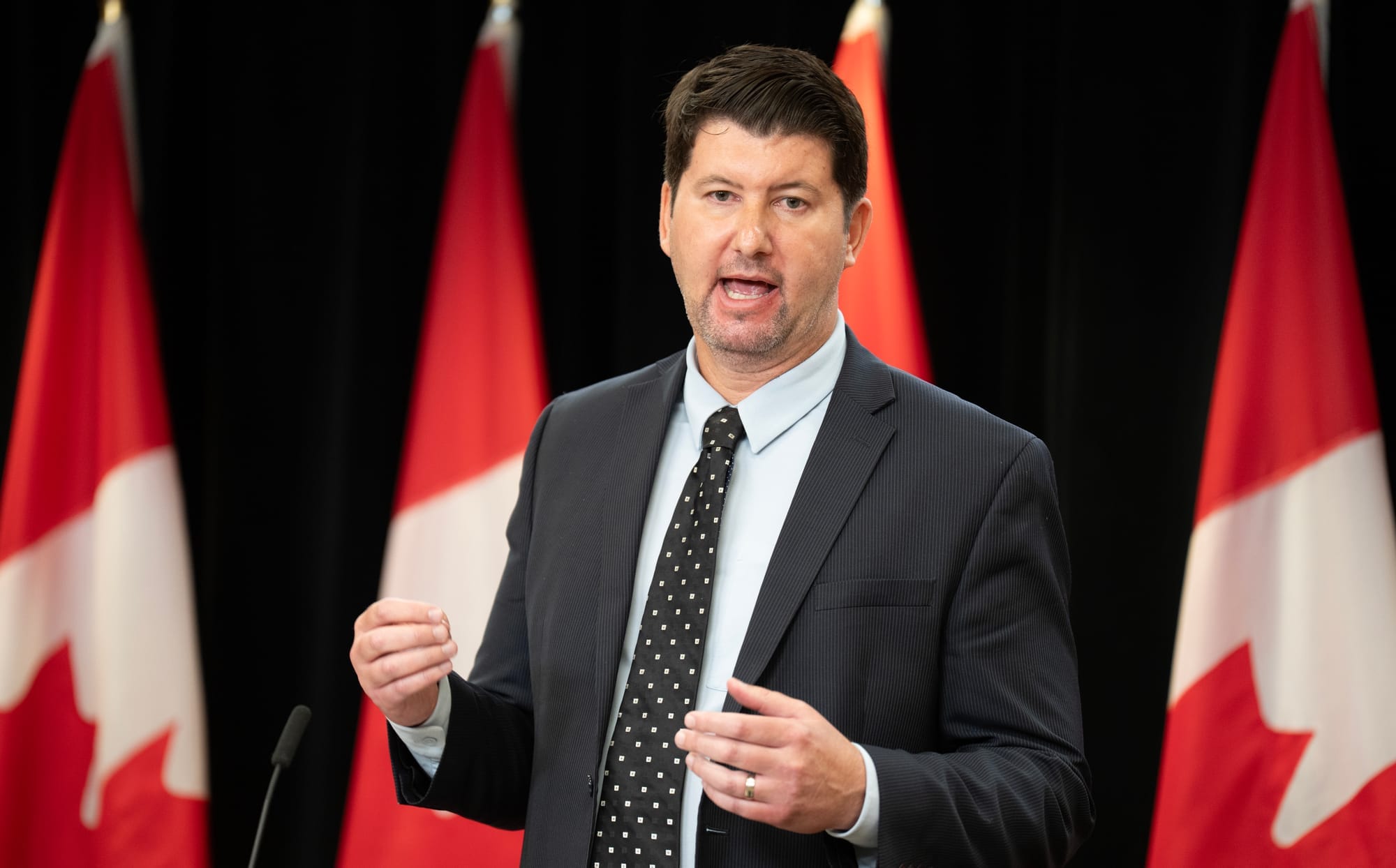 Procurement Ombud Alexander Jeglic stands in front of Canadian flags during a news conference in Ottawa.